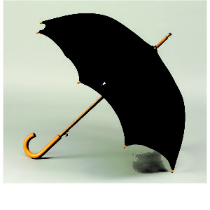 48” Automatic Open Wood Handle Fashion Umbrella